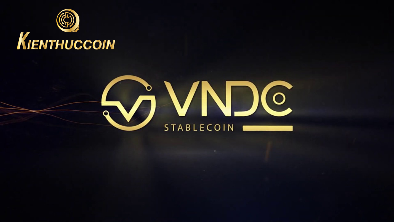 Sàn VNDC là gì? Ví VNDC là gì? Tổng quan dự án VNDC