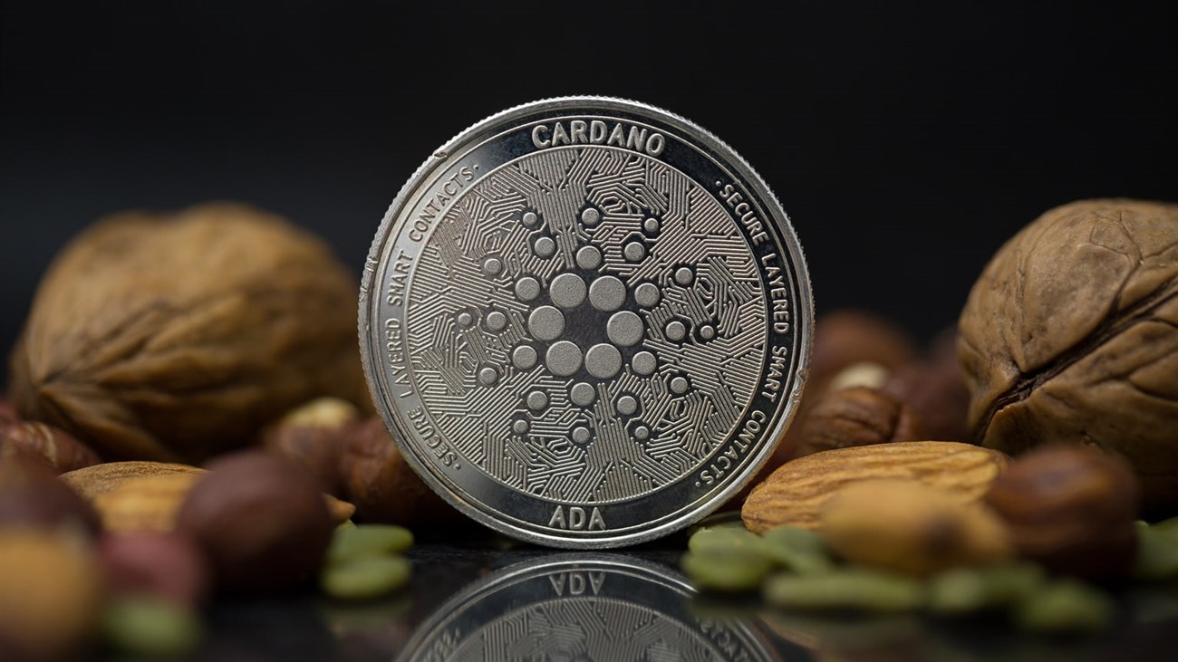 Cardano