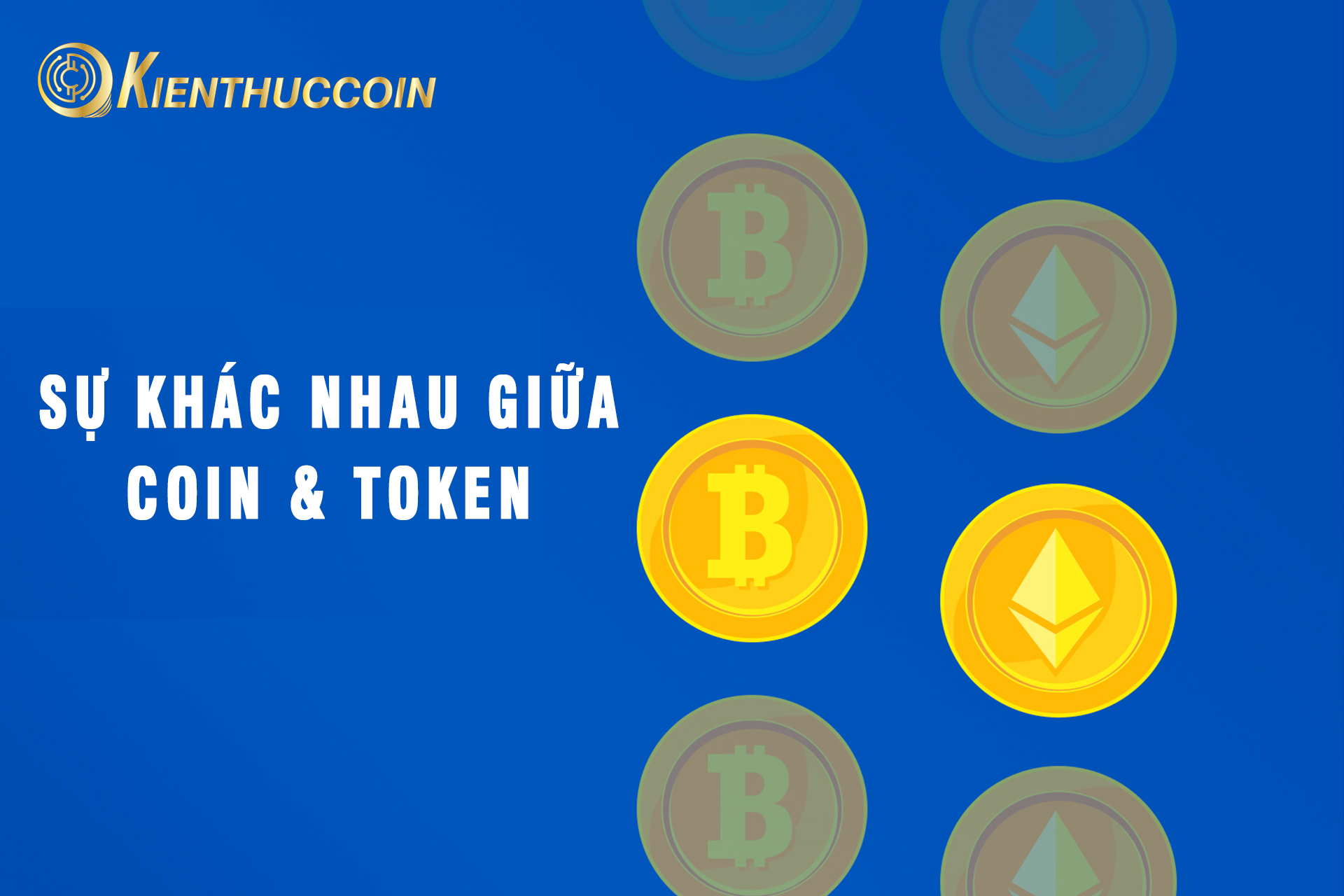 Compare between coin & token