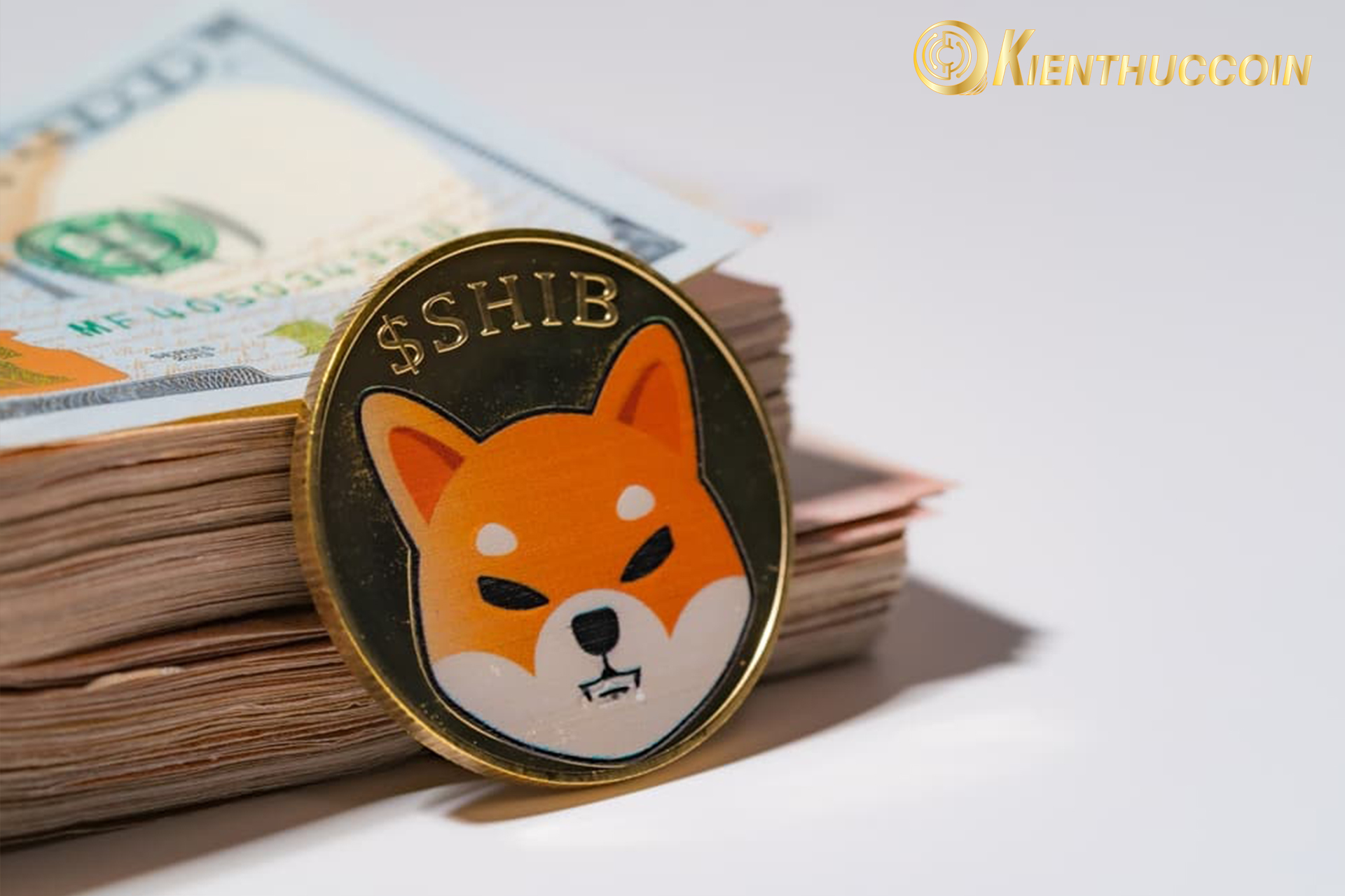 shiba inu coin la gi 2