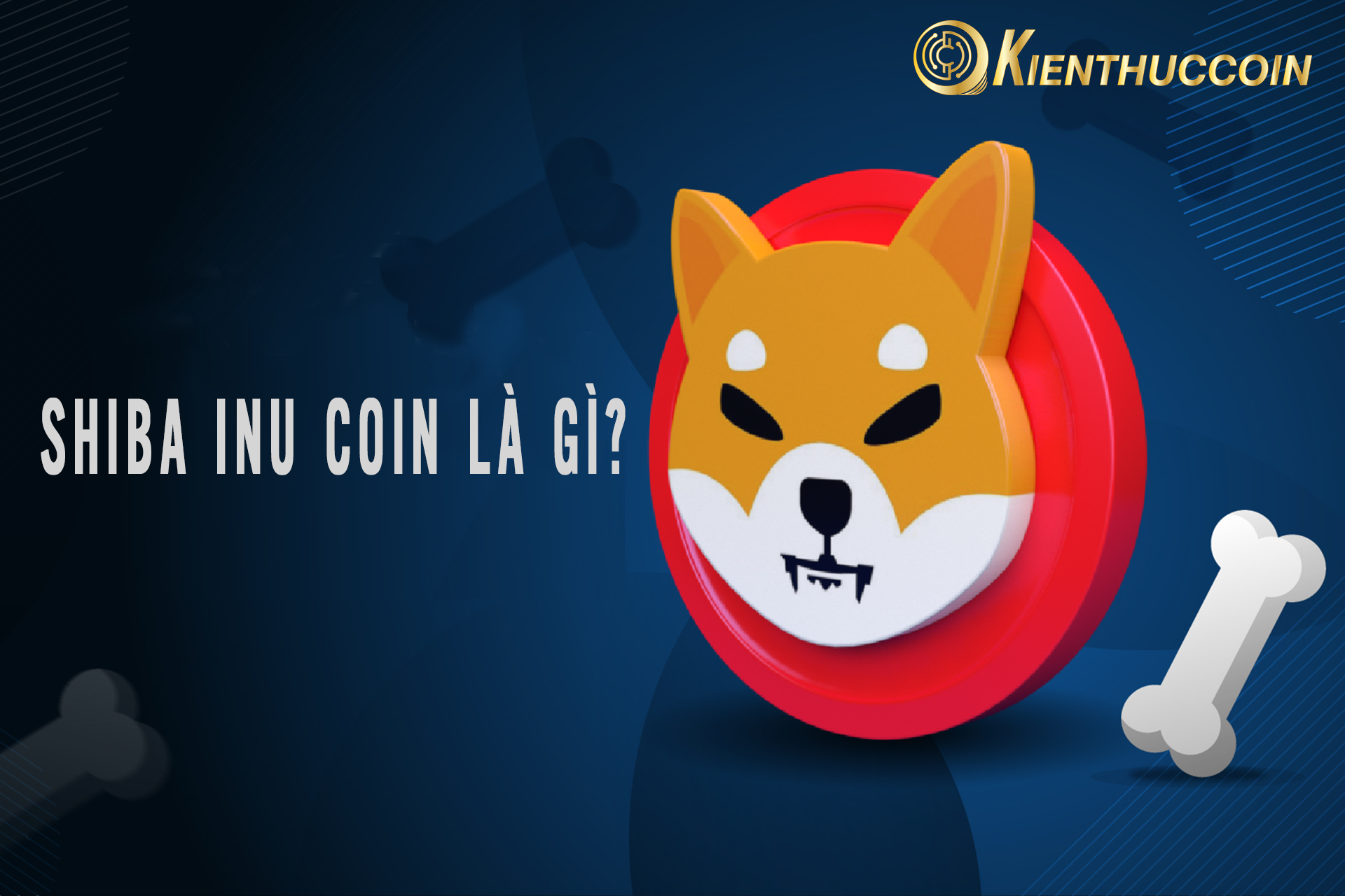 Shiba inu coin là gì? Tổng quan về đồng tiền điện tử SHIB